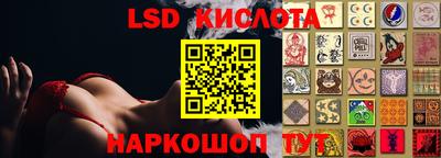 шишки Будённовск