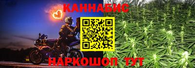 шишки Будённовск