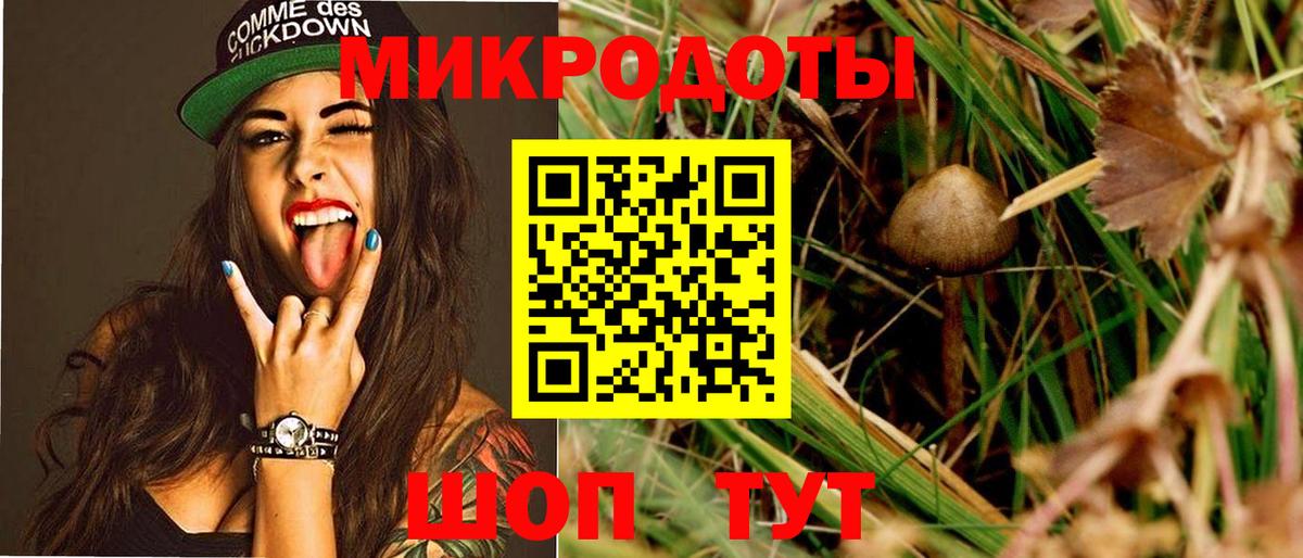 Псилоцибиновые грибы мицелий Мурино