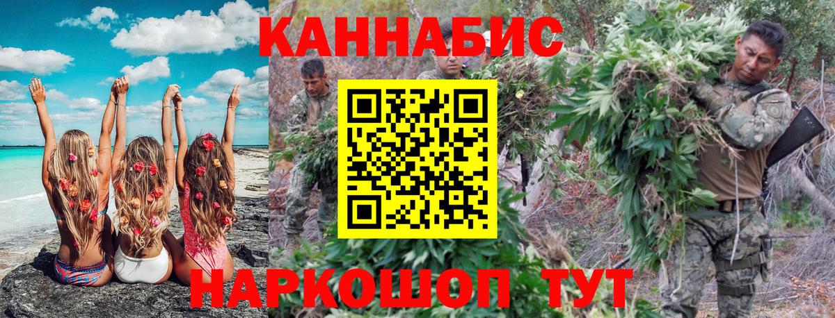 Псилоцибиновые грибы Мурино